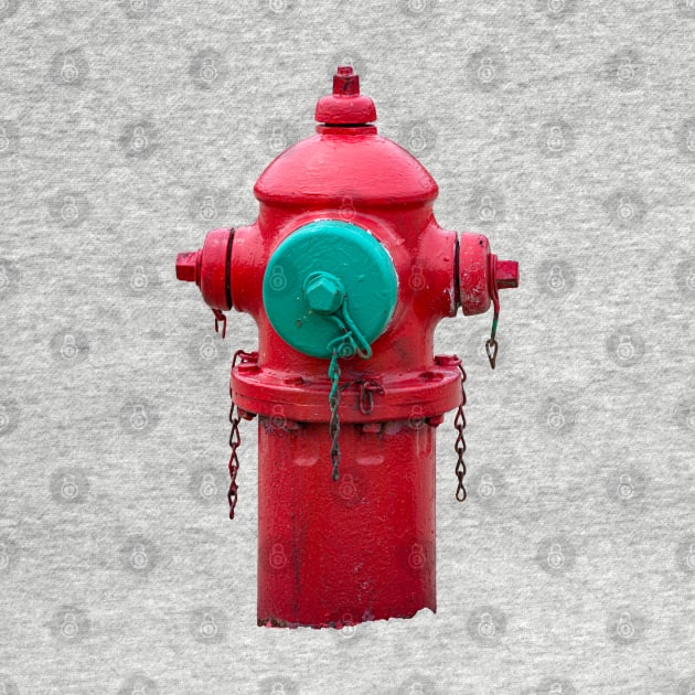 Red Traverse City Iron Works Smooth Hydrant by Enzwell